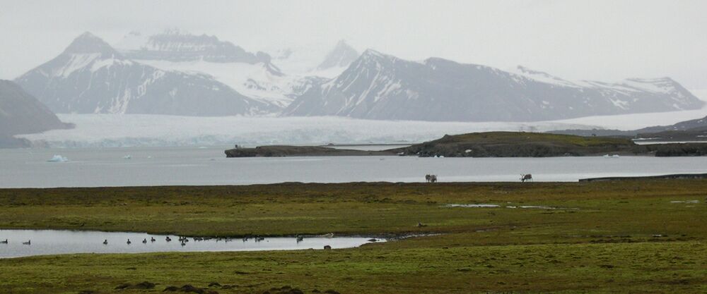Ny-Aalesund