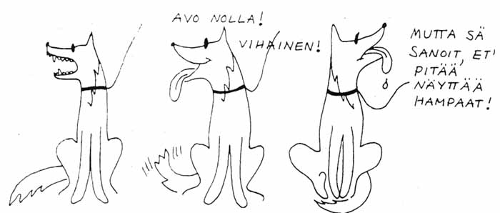 Nin voi kyd, jos opettaa koiransa itsenisesti nyttmn hampaansa ulkomuototuomarille.