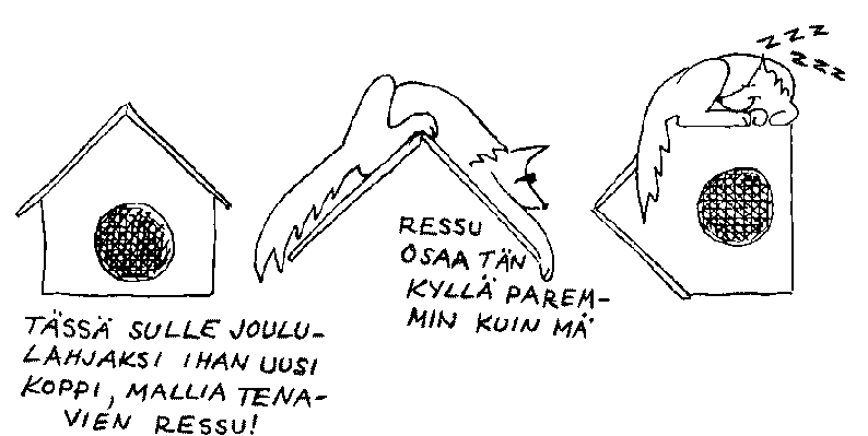Ressulla on taito maata jyrkkkattoisen kopin katolla. Se ei ihan kaikilta onnistu