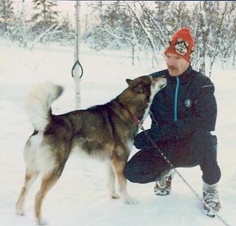 Kare, vakiintunut johtajakoira 1992