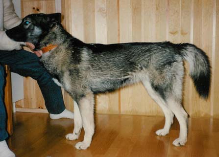 Emma noin vuoden vanhana