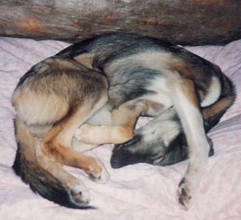 Nuoret nukkuvat missä asennossa sattuvat olemaan