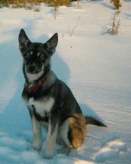 Muju eräretkellä mukana 1988 huhtikuussa