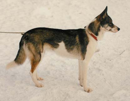 Nami Västerhankmossa