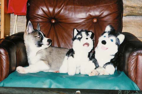 Ei kai minusta tule noiden näköinen?